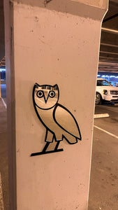 “OVO Owl” Mirror
